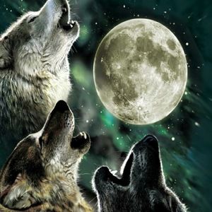 Meet your Posher, Yo its ya bro